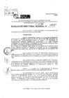 Vista preliminar de documento RDR 5207-2024