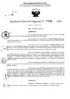 Vista preliminar de documento RDR 5208-2024