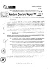 Vista preliminar de documento RDR 5502-2024
