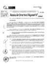 Vista preliminar de documento RDR 5500-2024