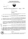 Vista preliminar de documento RDR 5209-2024