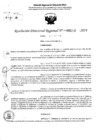 Vista preliminar de documento RDR 5210-2024