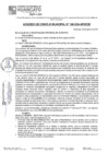 Vista preliminar de documento ACM24N188