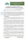 Vista preliminar de documento doc03840520240920144901