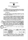 Vista preliminar de documento RORA N°999-2024
