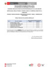 Vista preliminar de documento 02.Resultados Ev. Curricular N°025-2024