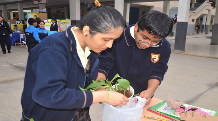 estudiantes preparan proyecto para la exposición