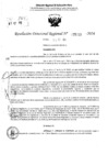 Vista preliminar de documento RDR 5213-2024