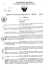 Vista preliminar de documento RDR 5216-2024