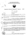 Vista preliminar de documento RDR 5220-2024
