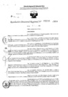 Vista preliminar de documento RDR 5221-2024