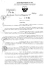 Vista preliminar de documento RDR 3749-2024