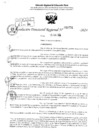 Vista preliminar de documento RDR 3751-2024