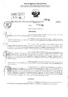 Vista preliminar de documento RDR 3752-2024