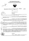 Vista preliminar de documento RDR 5222-2024