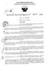 Vista preliminar de documento RDR 5226-2024