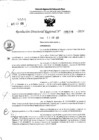 Vista preliminar de documento RDR 5228-2024