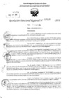 Vista preliminar de documento RDR 5229-2024