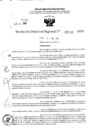 Vista preliminar de documento RDR 5230-2024
