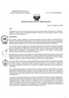 Vista preliminar de documento REA N° 123-OEA-INMP-2024