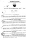 Vista preliminar de documento RDR 5232-2024