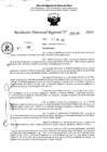 Vista preliminar de documento RDR 5233-2024