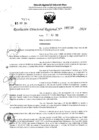 Vista preliminar de documento RDR 5234-2024