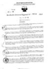 Vista preliminar de documento RDR 5235-2024