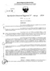 Vista preliminar de documento RDR 5239-2024