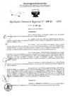 Vista preliminar de documento RDR 5242-2024