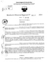 Vista preliminar de documento RDR 5257-2024