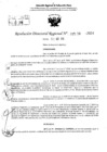 Vista preliminar de documento RDR 5258-2024