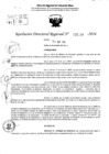 Vista preliminar de documento RDR 5259-2024