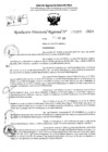 Vista preliminar de documento RDR 5265-2024