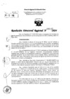 Vista preliminar de documento RDR 5267-2024