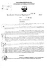 Vista preliminar de documento RDR 5274-2024