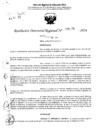Vista preliminar de documento RDR 5275-2024