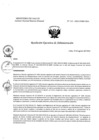 Vista preliminar de documento REA N° 132-OEA-INMP-2024