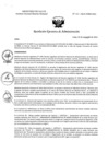 Vista preliminar de documento REA N° 133-OEA-INMP-2024