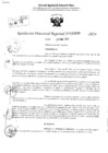 Vista preliminar de documento RDR 3838-2024