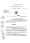 Vista preliminar de documento Resolución Directoral. N° 2175 - 2024 