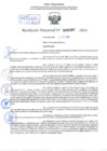 Vista preliminar de documento Resolución Directoral. N° 2167 - 2024 