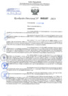 Vista preliminar de documento Resolución Directoral. N° 2157 - 2024