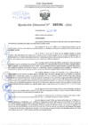 Vista preliminar de documento Resolución Directoral. N° 2164 - 2024 