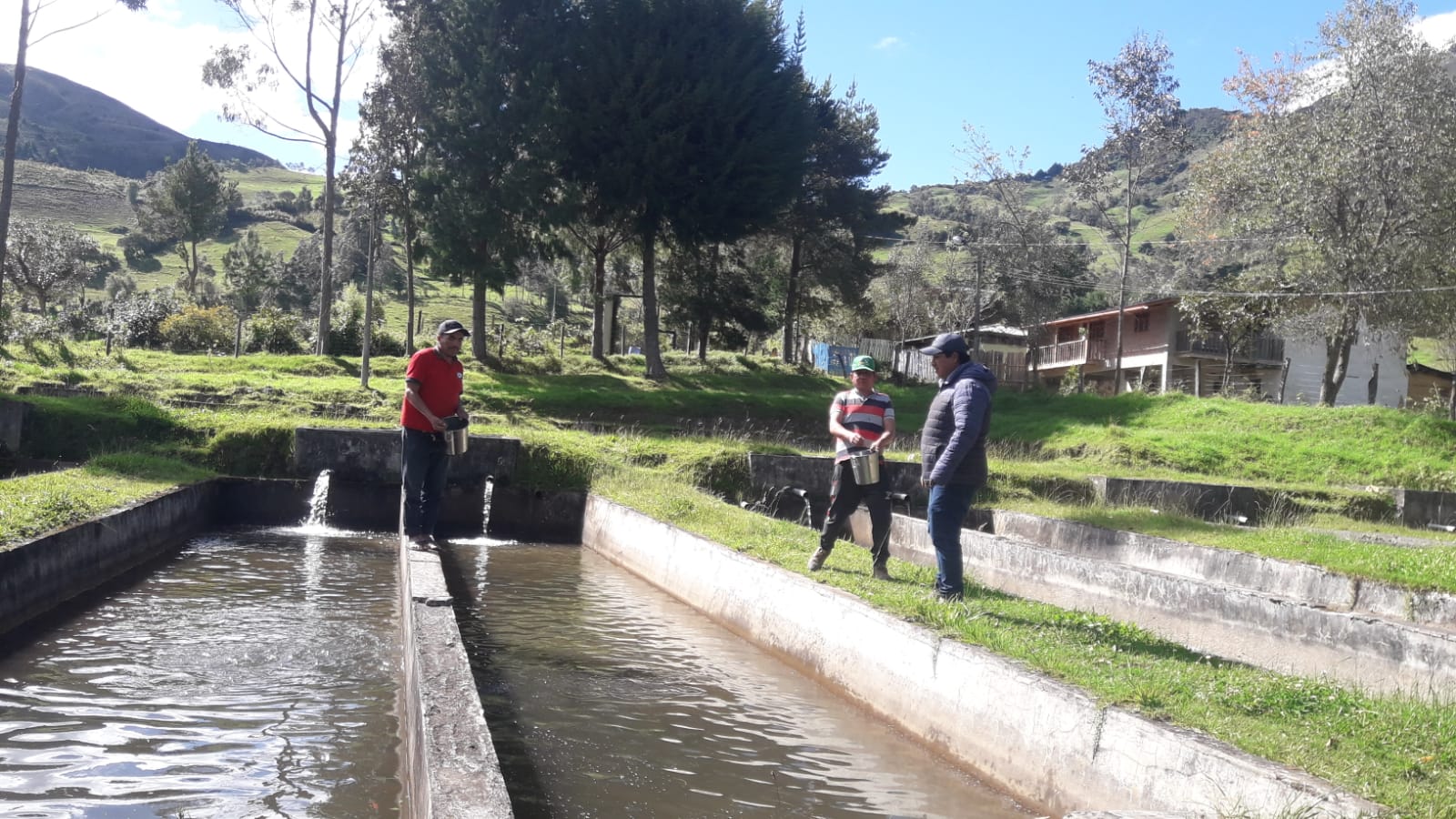 Con repoblamiento de trucha, Gore Piura ayudará a mejorar niveles nutricionales en Ayabaca, Morropón y Huancabamba 