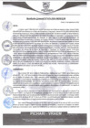 Vista preliminar de documento rgm476