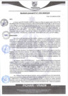 Vista preliminar de documento rgm477