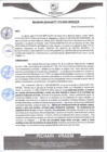 Vista preliminar de documento rgm479