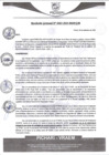 Vista preliminar de documento rgm483