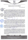 Vista preliminar de documento rgm485